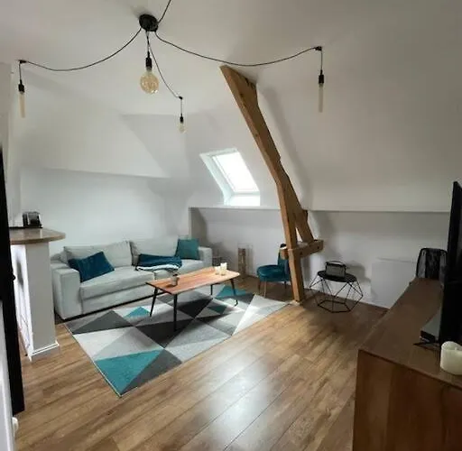 公寓 Le Passage T2 Cosy Centre *